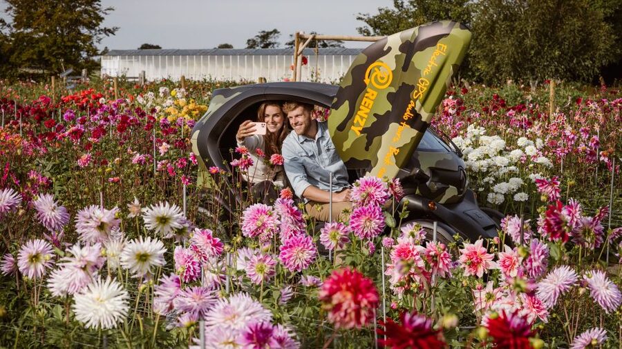 Lisse: Drive-it-Yourself Summer Flower GPS Audio Tour - Why summer flowers make this route different