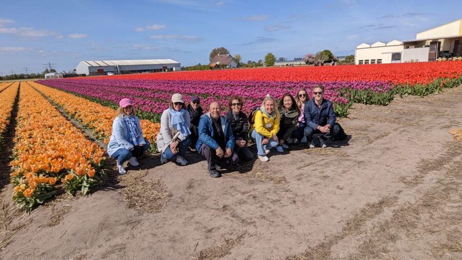 Lisse: Enjoy the Tulip Fields by Bike with a Local Guide! - Key points to know before booking