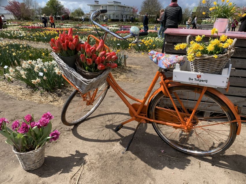 Lisse: Enjoy the Tulip Fields by Bike with a Local Guide! - How this tour compares with going alone