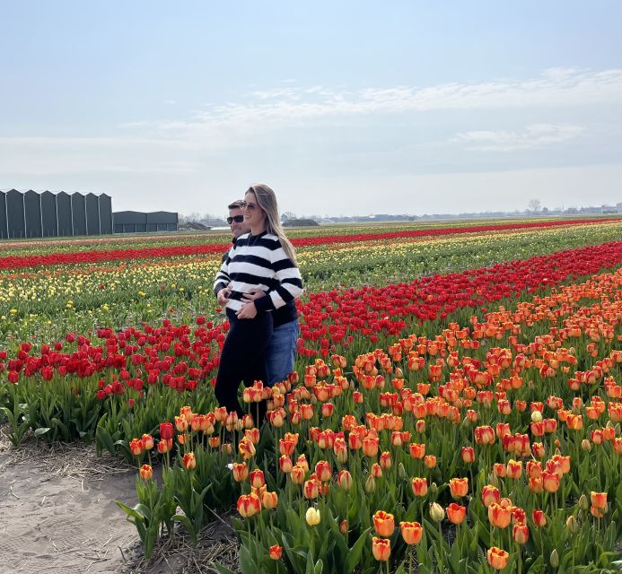 Lisse: Enjoy the Tulip Fields by Bike with a Local Guide! - What the $58 price really includes