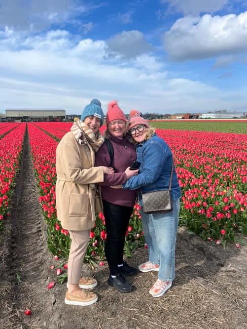 Lisse: Private Tulip Fields Tour with a Local Guide 1h Tour - Who will get the most from this tour