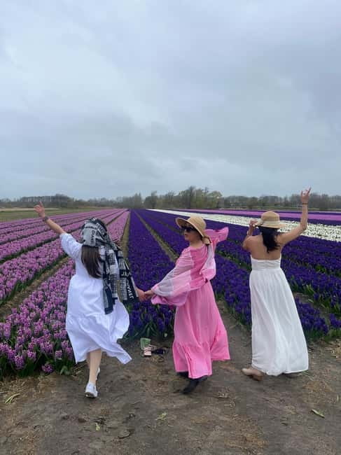 Lisse: Private Tulip Fields Tour with a Local Guide 1h Tour - Why a private car changes the tulip-field visit