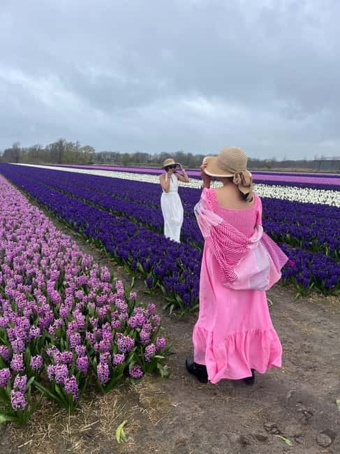 Lisse: Private Tulip Fields Tour with a Local Guide 1h Tour - The guide can make or break the hour