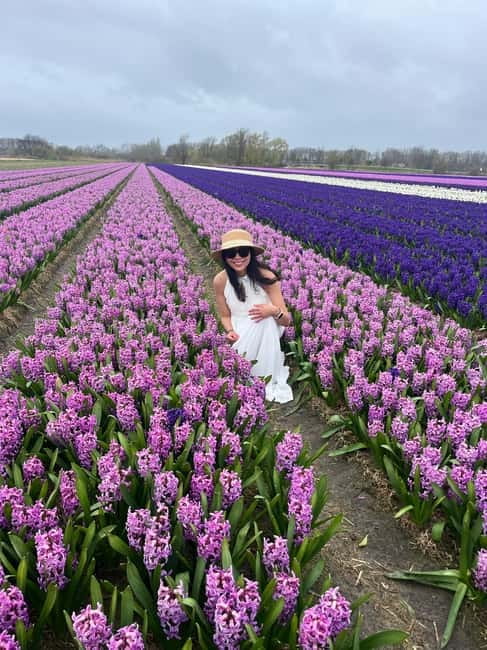 Lisse: Private Tulip Fields Tour with a Local Guide 1h Tour - The short drive from your pickup point