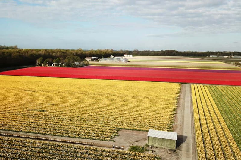 Lisse: Self-Guided Tulip Fields GPS Audio Tour - Setting out from near Keukenhof
