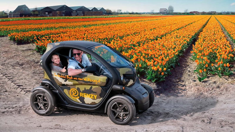 Lisse: Self-Guided Tulip Fields GPS Audio Tour - Pulling over beside the tulips