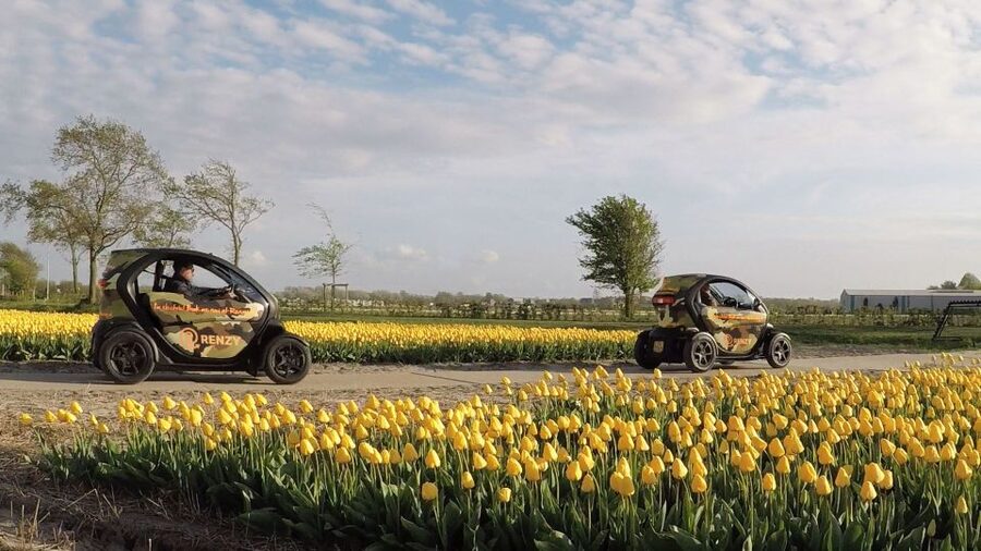 Lisse: Self-Guided Tulip Fields GPS Audio Tour - Is $79 per person good value?