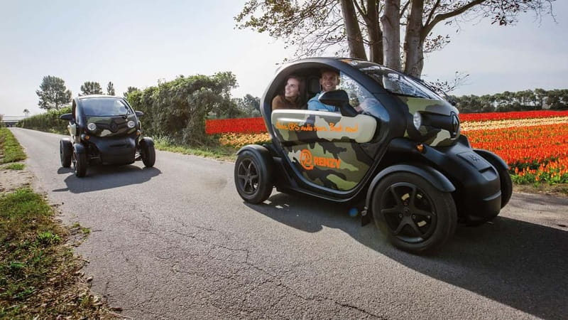 Lisse: Self-Guided Tulip Fields GPS Audio Tour - Who should book the Renzy Twizy tour?