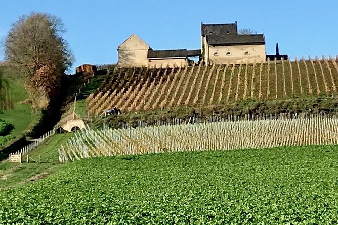 Maastricht Heritage and Nature Tour - Why this tour shows Maastricht in a different light