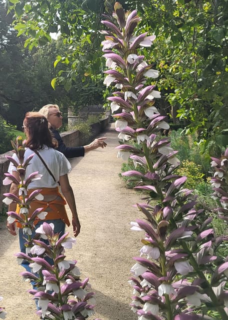 Maastricht Hidden Gems Tour Uncover the Unexpected - Two medieval powers in one city