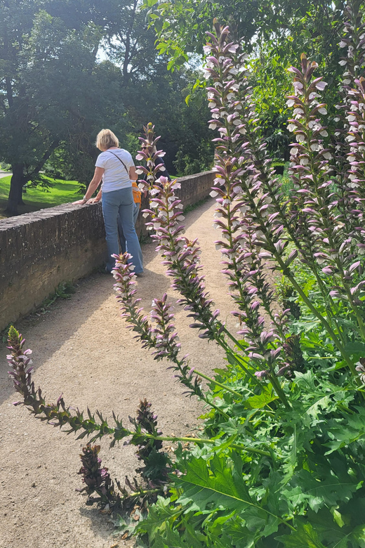 Maastricht Hidden Gems Tour Uncover the Unexpected - Helpoort and the defensive city