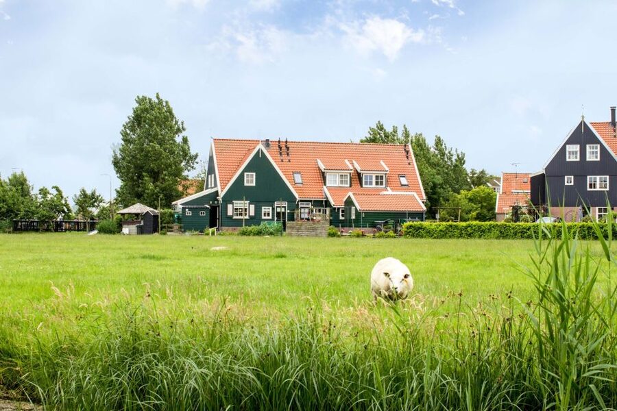 Marken, Volendam and Edam: Private Full-Day Tour - What the private guide changes