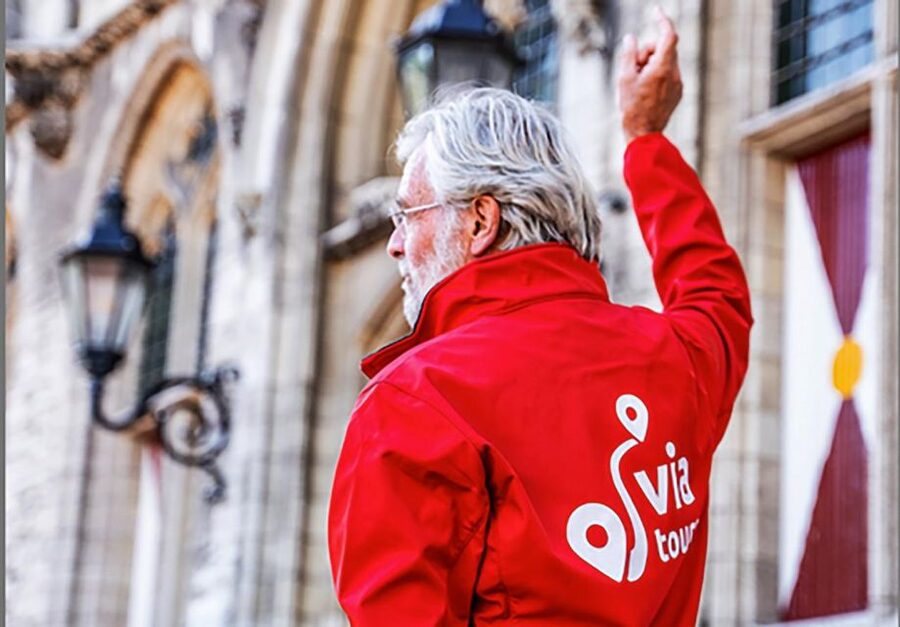 Middelburg: Guided Tour Townhall - Language, age, and mobility concerns