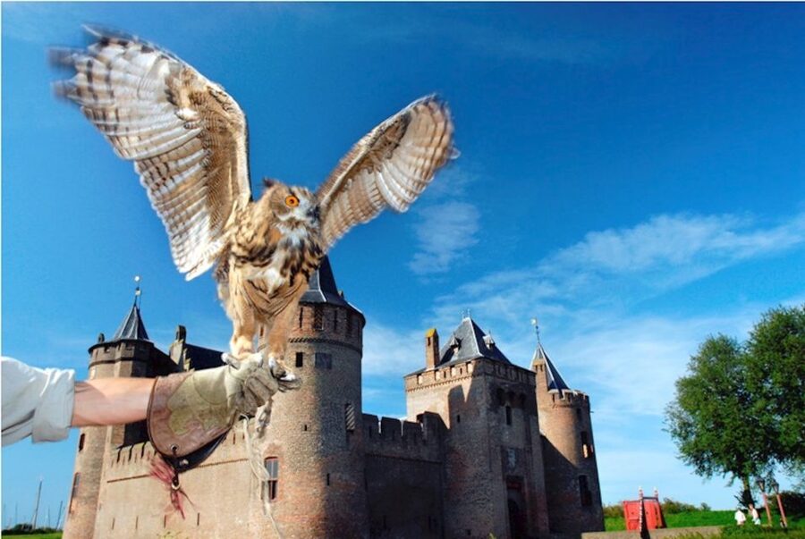 Muiden: Entry Ticket to Muiderslot Castle - Key points before you go