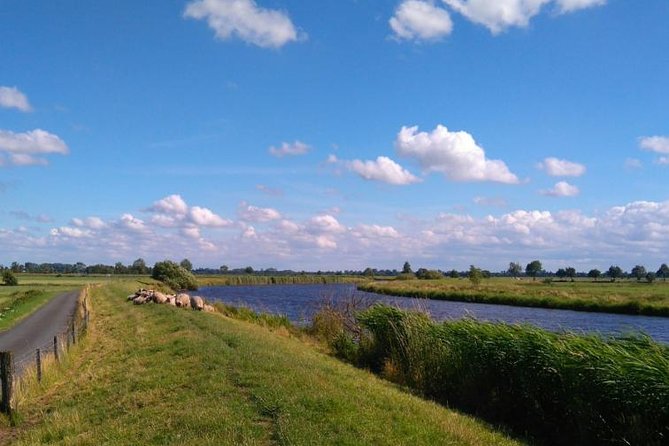 Off the beaten paths Dutch Country Side Private Tour in Jaguar - Simonehoeve adds cheese, clogs, and a hands-on pause