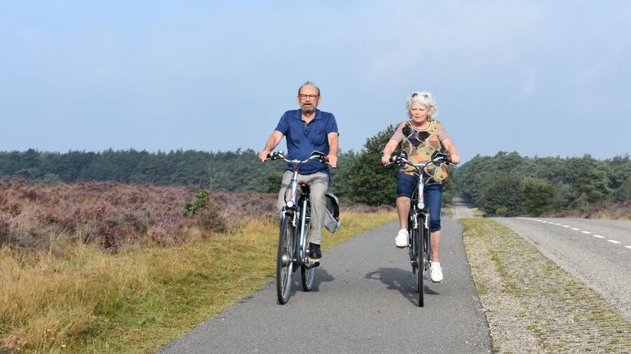 Otterlo: De Hoge Veluwe National Park Entry & E-bike - Riding through forest and heath