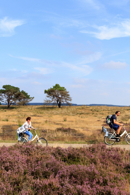 Otterlo: De Hoge Veluwe National Park Entry Ticket - How much value do you get for $16?