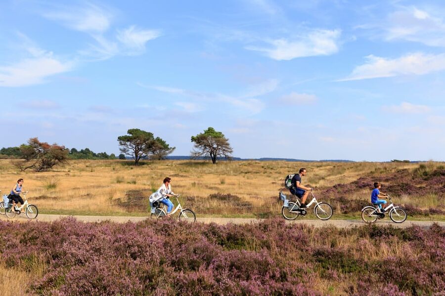 Otterlo: De Hoge Veluwe National Park Entry Ticket - Forest, heath, sand and open views