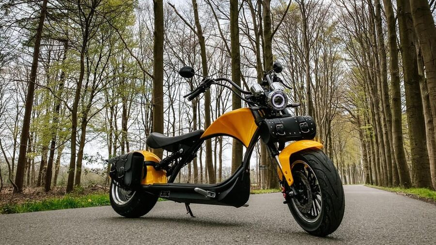 Otterlo: E-chopper rental - The Three-Hour Route Through the Veluwe