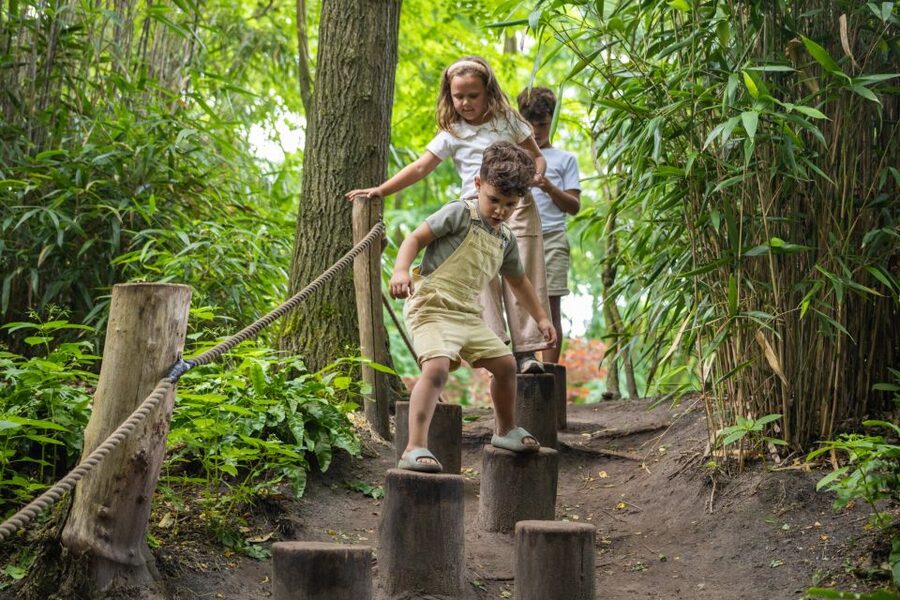 Overloon: ZooParc Entrance Ticket - The Outback offers kangaroos and free-roaming birds