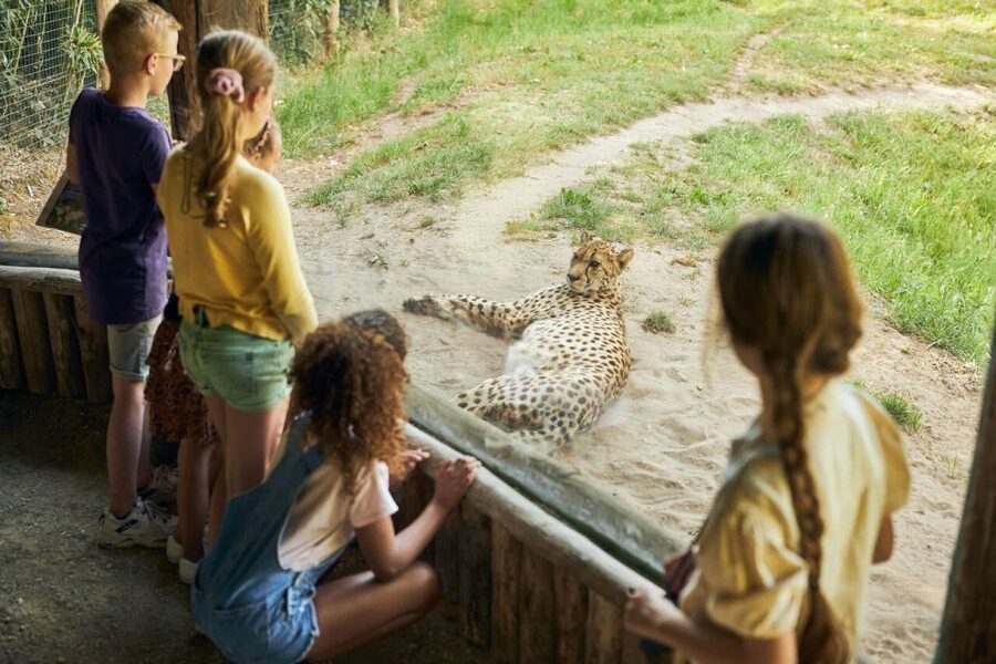 Overloon: ZooParc Entrance Ticket - Madidi closes the route with South American wildlife