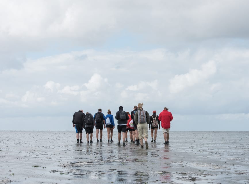Pieterburen: Wadden Sea Mudflats Guided Walking Tour - Key points to know before you book