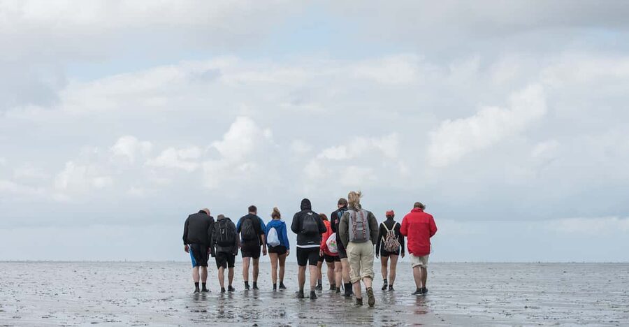 Pieterburen: Wadden Sea Mudflats Guided Walking Tour - Booking details worth checking