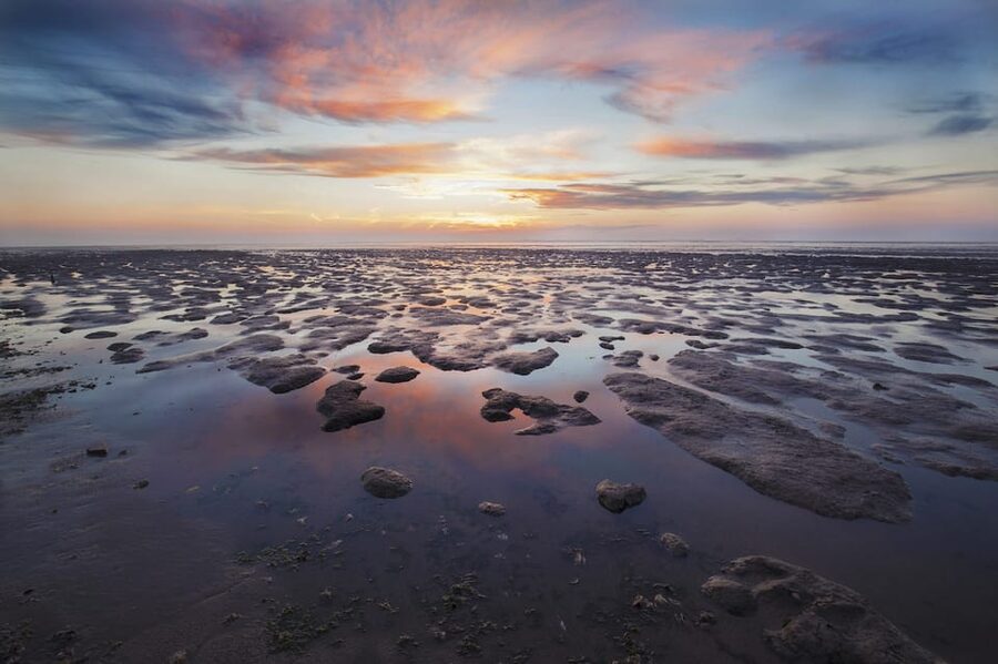 Pieterburen: Wadden Sea Mudflats Guided Walking Tour - Walking into the Wadden Sea from Westernieland