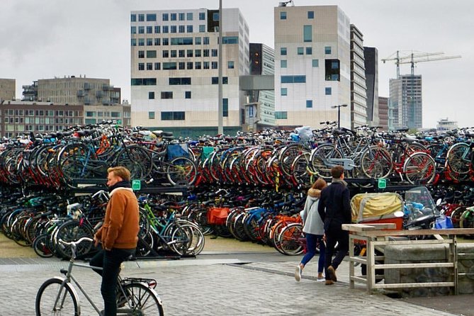 Private Amsterdam Bike Tour with a local guide (also for families) - Around Artis Zoo, with the city’s animal sounds nearby