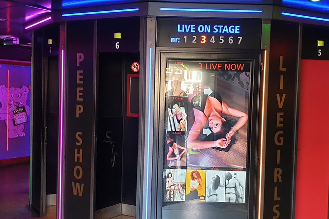 Private Amsterdam Red Light District tour including sex museum - Seeing the Red Light District with context