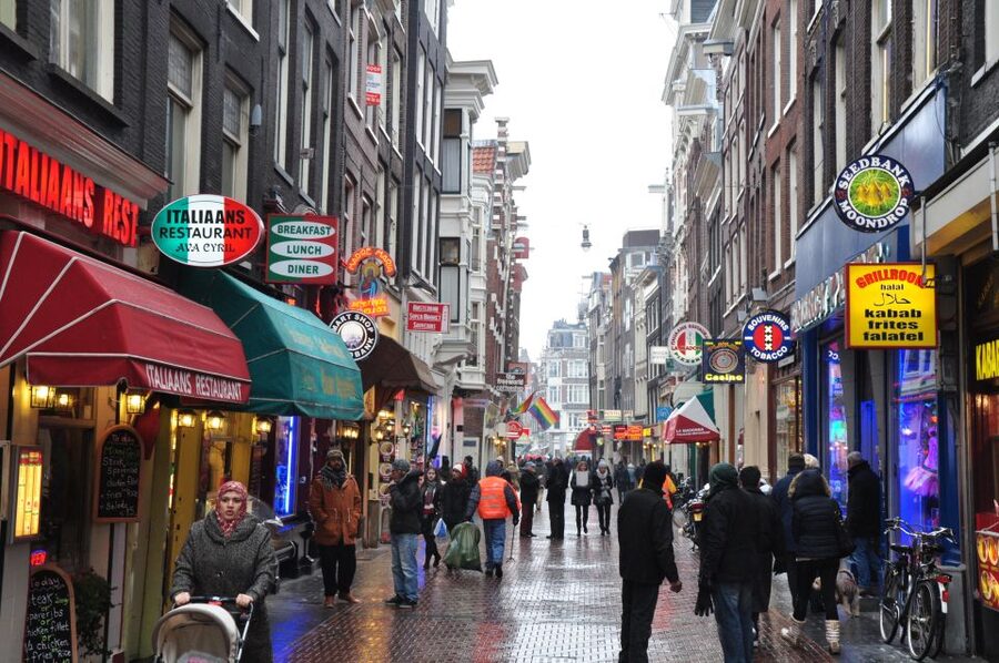 Private Amsterdam Walking Tour - Key points to know before booking