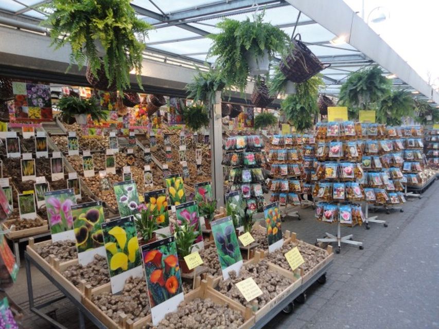 Private Amsterdam Walking Tour - A two-hour introduction to Amsterdam