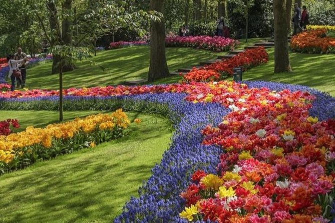 Private Day Tour to Keukenhof Gardens - from Amsterdam/Rotterdam - What the private format changes