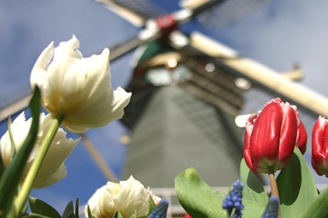 Private Day Tour to Keukenhof Gardens - from Amsterdam/Rotterdam - Is the $23 price good value?