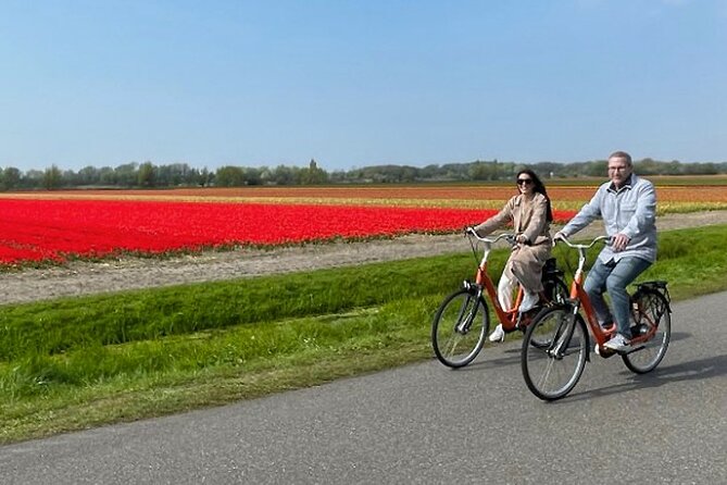 Private Day Tour to Keukenhof Gardens - from Amsterdam/Rotterdam - Who should book this day?