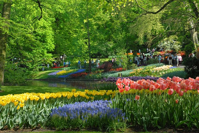 Private Day Trip from Amsterdam to Keukenhof with Entrance Tickets - Guides who add practical help