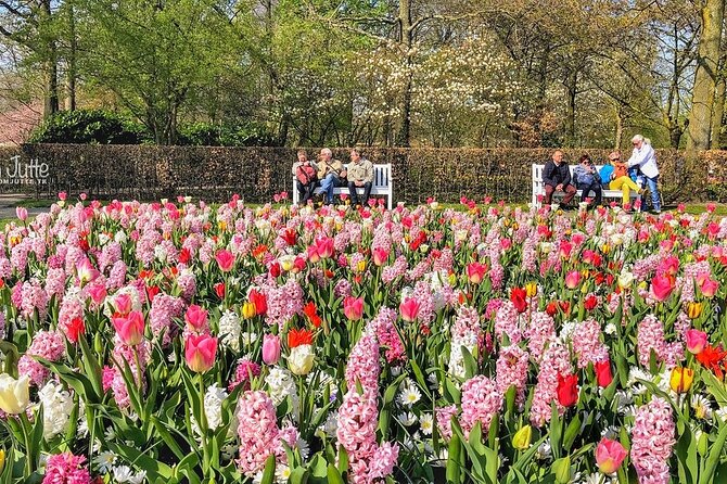 Private Day Trip to Keukenhof Gardens with Entrance Tickets - Why a private Keukenhof trip can be worth the price