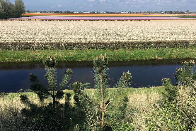 Private daytour from Amsterdam into the Countryside - The best extra stops if you have room