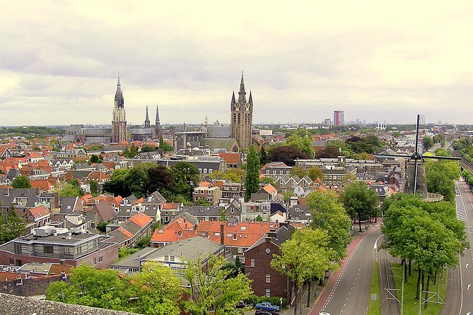 Private full-day customizable tour of the Netherlands from Amsterdam - What the private vehicle changes