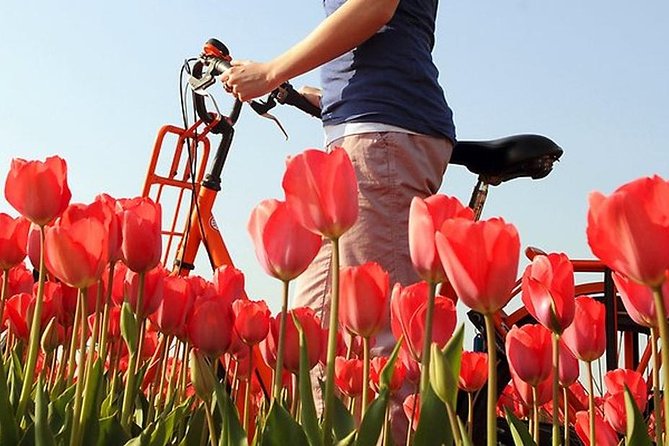 Private Guided Full-Day Customizable Tour of Holland from Amsterdam - Giethoorn and tulip season