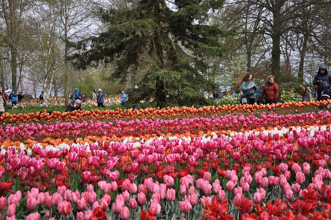 Private Guided Keukenhof Gardens and Zaanse Schans Tour - Clogs at Kooijman Wooden Shoe Workshop