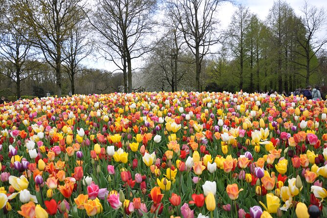 Private Guided Keukenhof Gardens and Zaanse Schans Tour - Zaanse Schans, where Dutch industry still turns