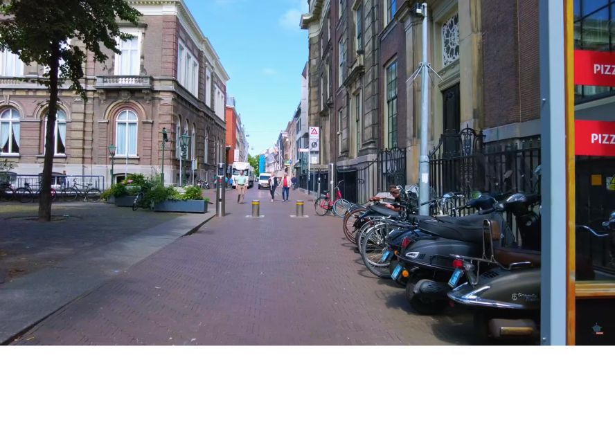 Private half-day Delft and The Hague tour - Timing, pickup, and what the day feels like
