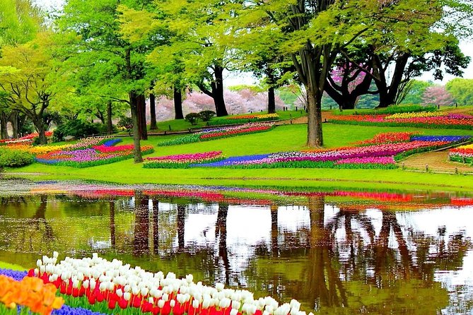 Private Half-Day Trip From Amsterdam to The Tulip Fields in Keukenhof - Why Keukenhof makes a good half-day escape