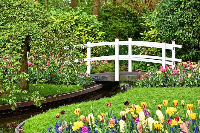 Private Half-Day Trip From Amsterdam to The Tulip Fields in Keukenhof - Tulip displays, photos, bikes, and boats