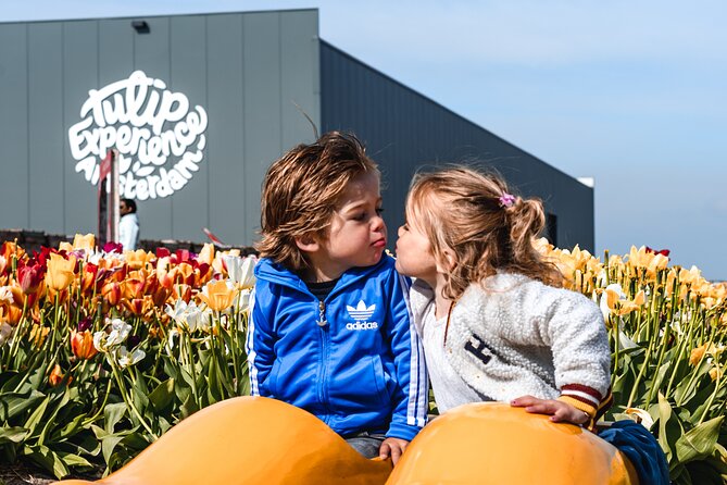 Private Keukenhof Gardens and Tulip Fields Tour from Amsterdam - What the $378.92 price really buys you