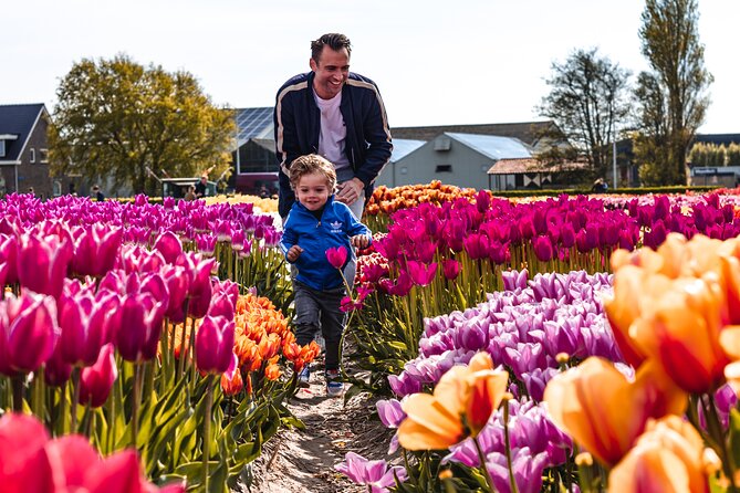 Private Keukenhof Gardens and Tulip Fields Tour from Amsterdam - Who will enjoy this private half-day most