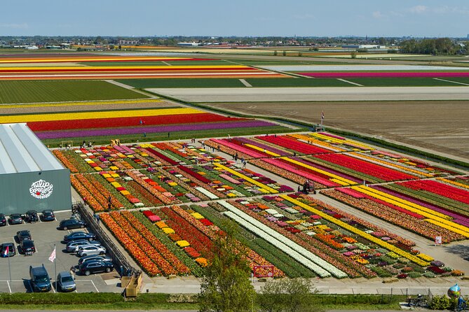 Private Keukenhof, Gardens, Windmills, cheese tour from Amsterdam - Is $499.43 per person good value?