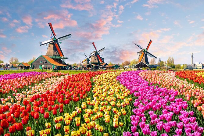 Private Keukenhof Park and Tulip Fields Tour (Skip-The-Line) - Why Keukenhof is worth the spring trip