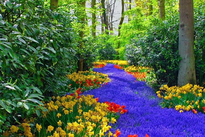 Private Keukenhof Park and Tulip Fields Tour (Skip-The-Line) - What the private format adds